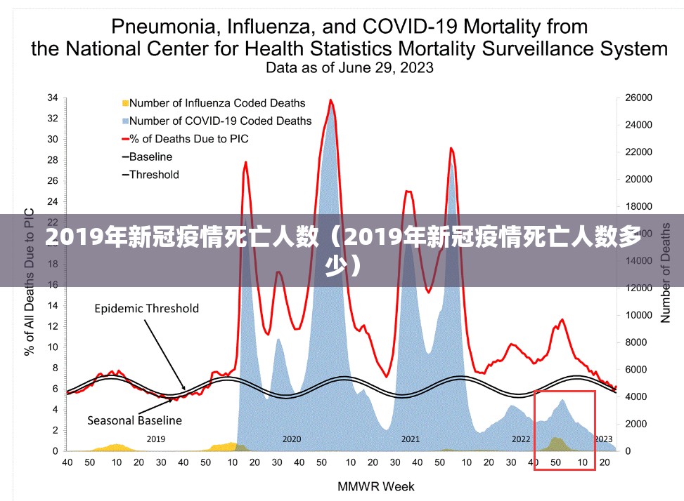 2019年新冠疫情死亡人数（2019年新冠疫情死亡人数多少）