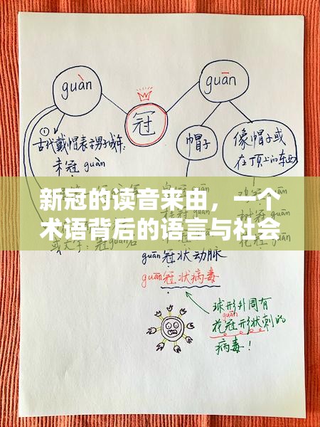 新冠的读音来由，一个术语背后的语言与社会变迁