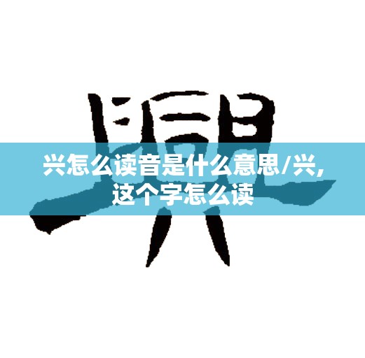兴怎么读音是什么意思/兴,这个字怎么读