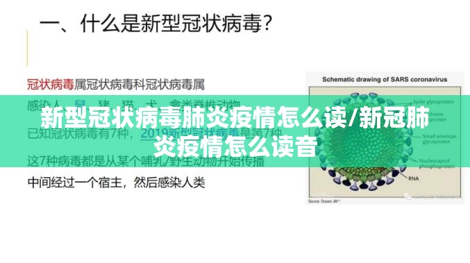 新型冠状病毒肺炎疫情怎么读/新冠肺炎疫情怎么读音