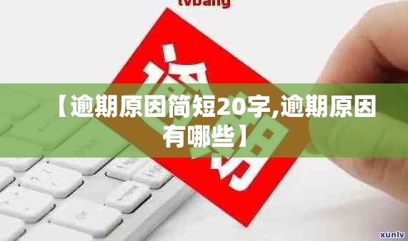 【逾期原因简短20字,逾期原因有哪些】