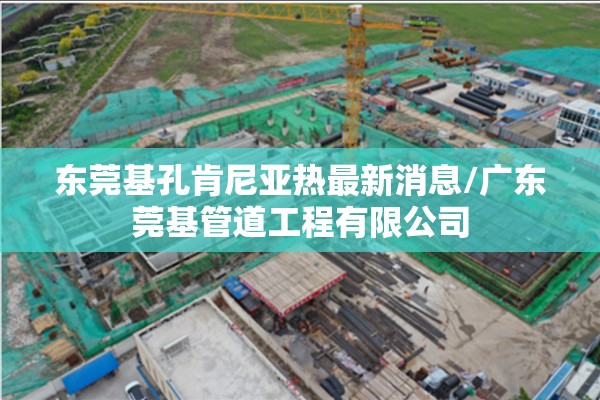 东莞基孔肯尼亚热最新消息/广东莞基管道工程有限公司