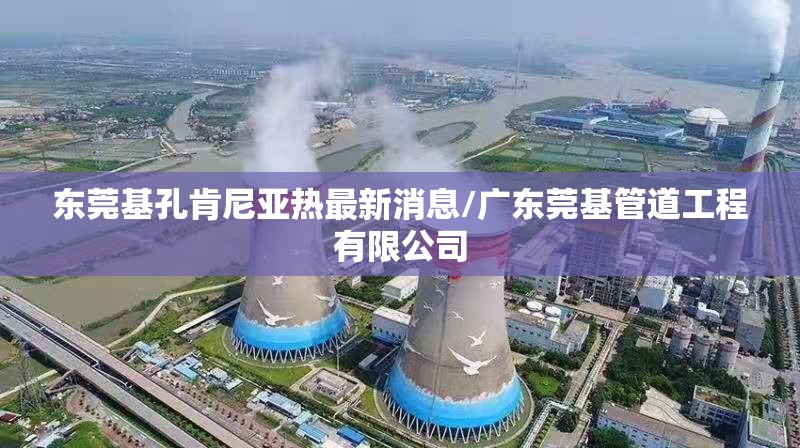 东莞基孔肯尼亚热最新消息/广东莞基管道工程有限公司