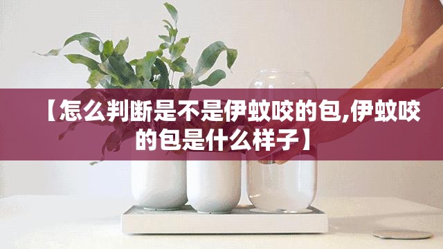 【怎么判断是不是伊蚊咬的包,伊蚊咬的包是什么样子】