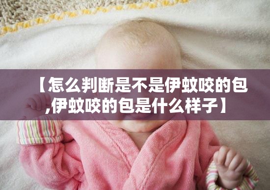 【怎么判断是不是伊蚊咬的包,伊蚊咬的包是什么样子】