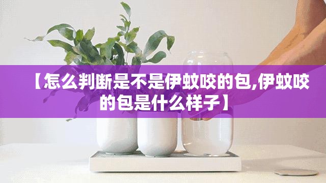 【怎么判断是不是伊蚊咬的包,伊蚊咬的包是什么样子】