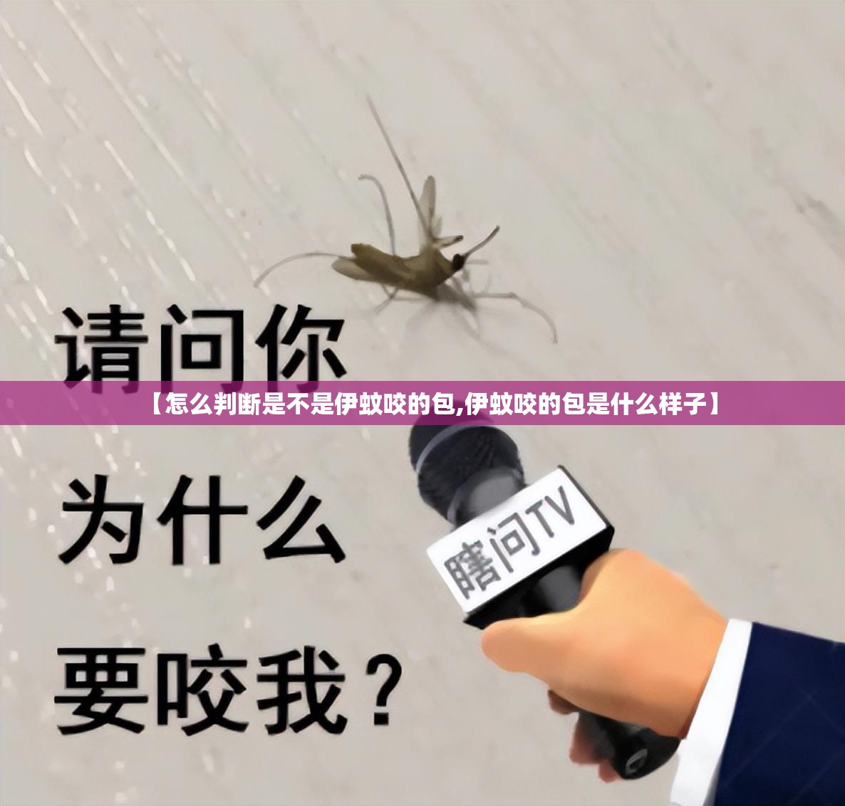 【怎么判断是不是伊蚊咬的包,伊蚊咬的包是什么样子】
