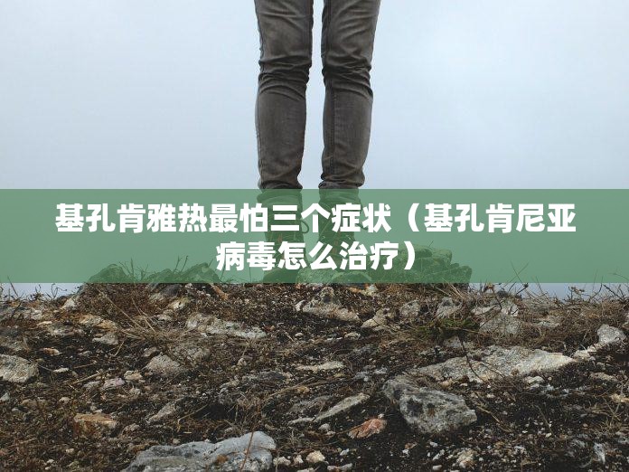基孔肯雅热最怕三个症状（基孔肯尼亚病毒怎么治疗）