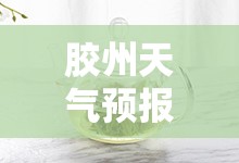 胶州天气预报/胶州天气预报30天