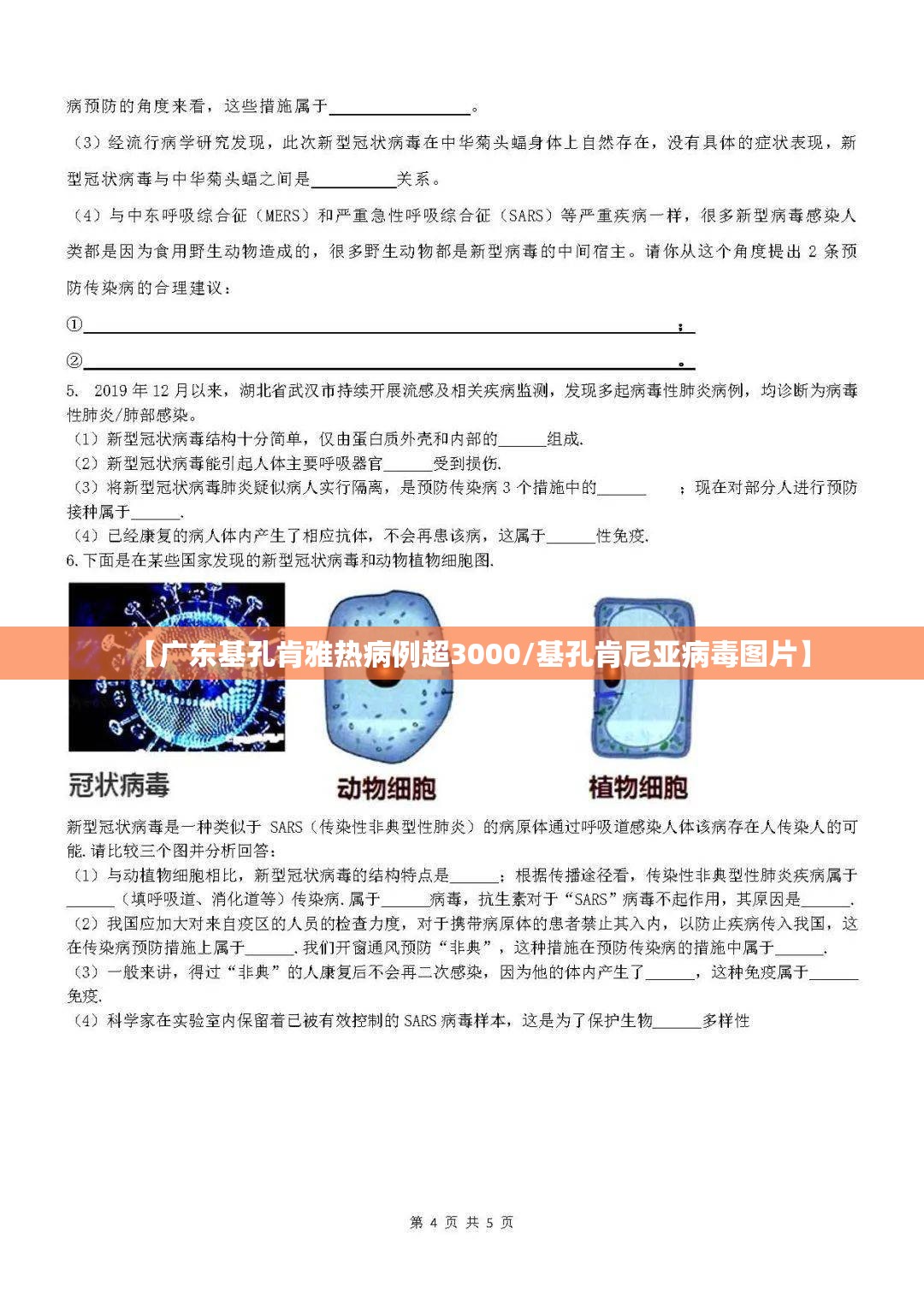 【广东基孔肯雅热病例超3000/基孔肯尼亚病毒图片】