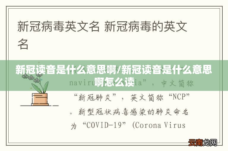 新冠读音是什么意思啊/新冠读音是什么意思啊怎么读