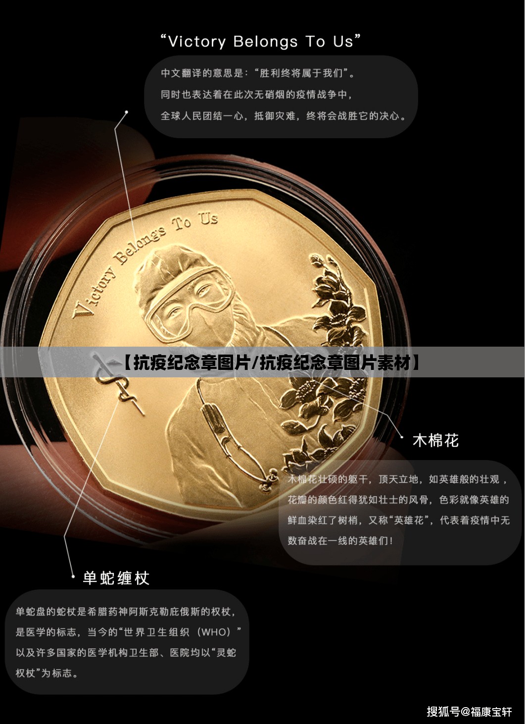 【抗疫纪念章图片/抗疫纪念章图片素材】