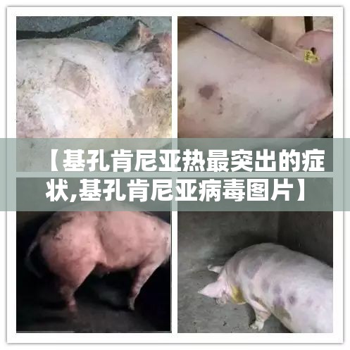 【基孔肯尼亚热最突出的症状,基孔肯尼亚病毒图片】
