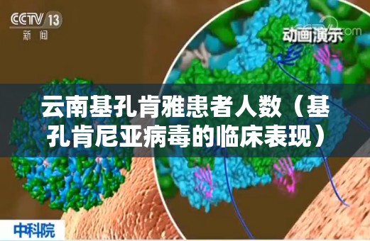 云南基孔肯雅患者人数（基孔肯尼亚病毒的临床表现）