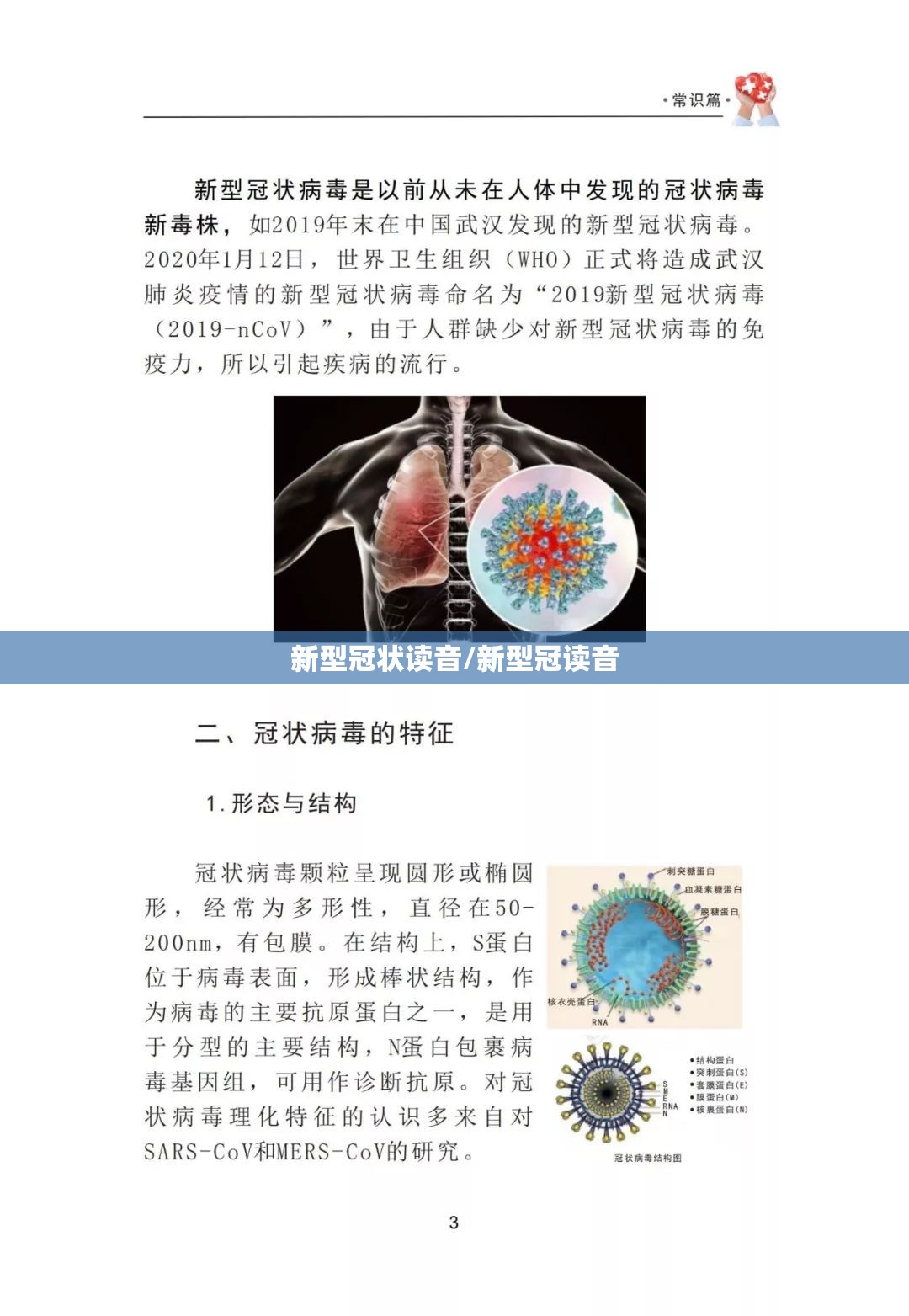 新型冠状读音/新型冠读音