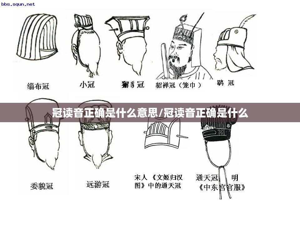 冠读音正确是什么意思/冠读音正确是什么