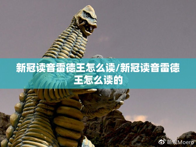 新冠读音雷德王怎么读/新冠读音雷德王怎么读的