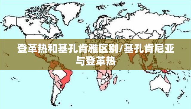 登革热和基孔肯雅区别/基孔肯尼亚与登革热