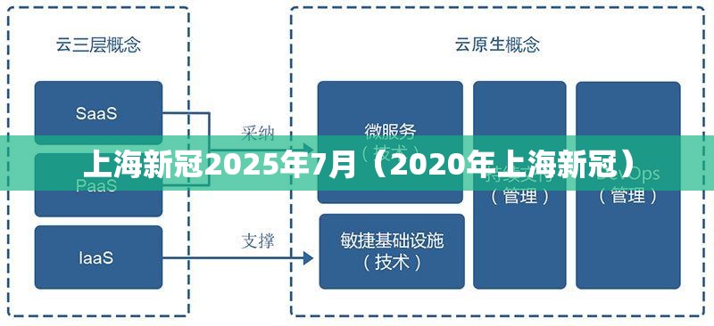 上海新冠2025年7月（2020年上海新冠）