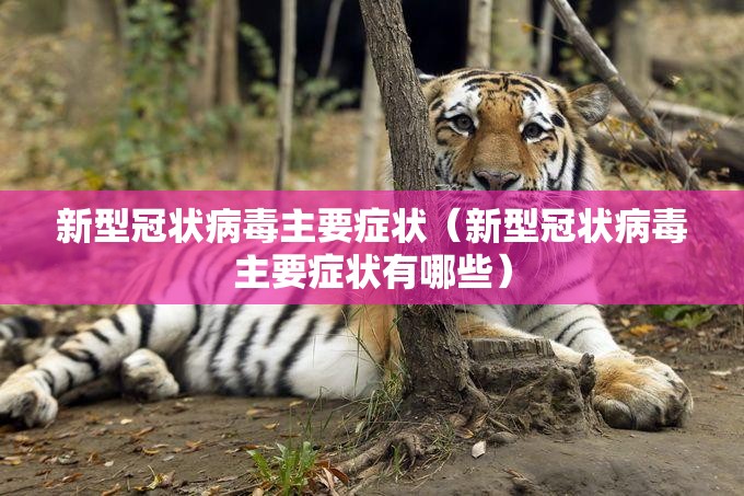 新型冠状病毒主要症状（新型冠状病毒主要症状有哪些）