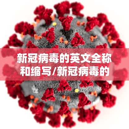 新冠病毒的英文全称和缩写/新冠病毒的英文缩写是啥