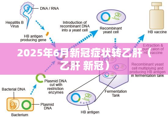 2025年6月新冠症状转乙肝（乙肝 新冠）