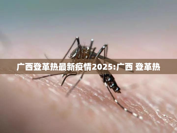 广西登革热最新疫情2025:广西 登革热