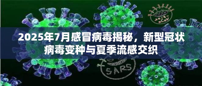 2025年7月感冒病毒揭秘，新型冠状病毒变种与夏季流感交织
