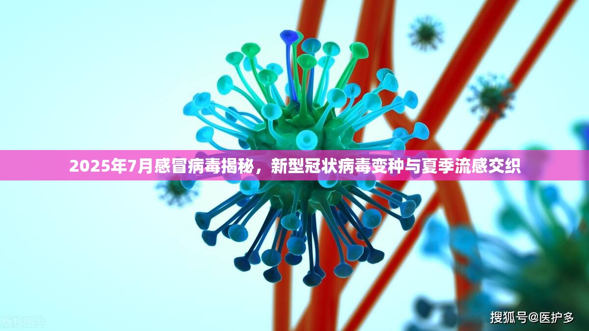 2025年7月感冒病毒揭秘，新型冠状病毒变种与夏季流感交织