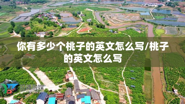 你有多少个桃子的英文怎么写/桃子的英文怎么写
