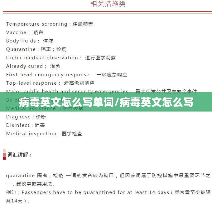 病毒英文怎么写单词/病毒英文怎么写