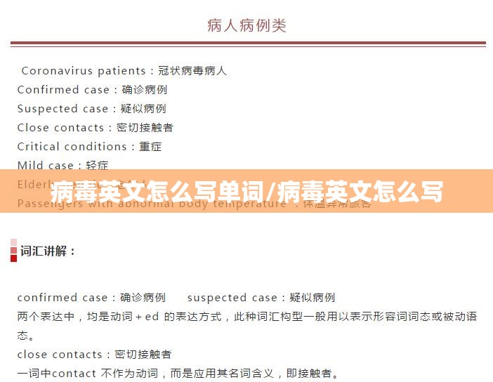病毒英文怎么写单词/病毒英文怎么写