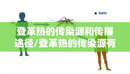 登革热的传染源和传播途径/登革热的传染源有哪些