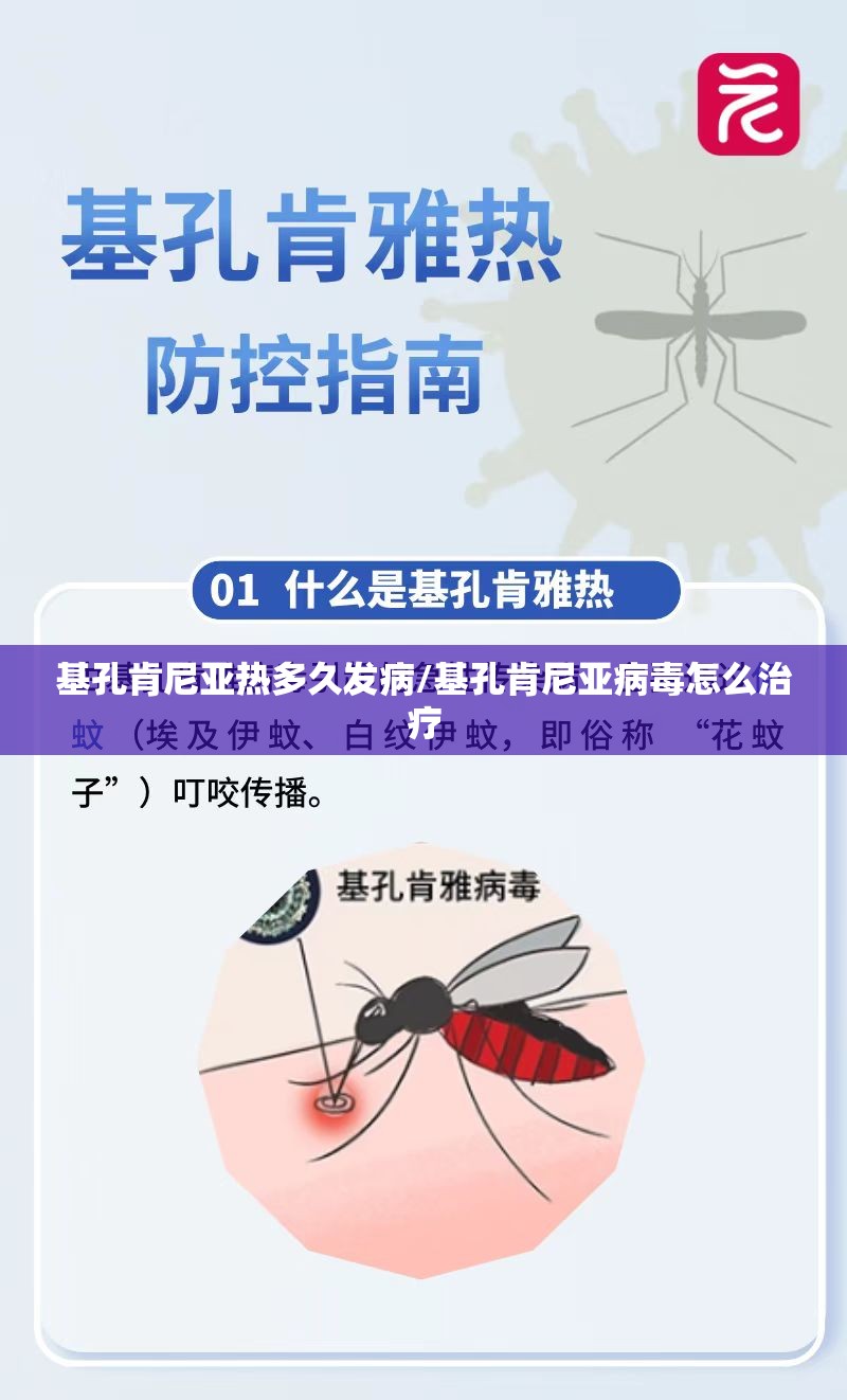 基孔肯尼亚热多久发病/基孔肯尼亚病毒怎么治疗
