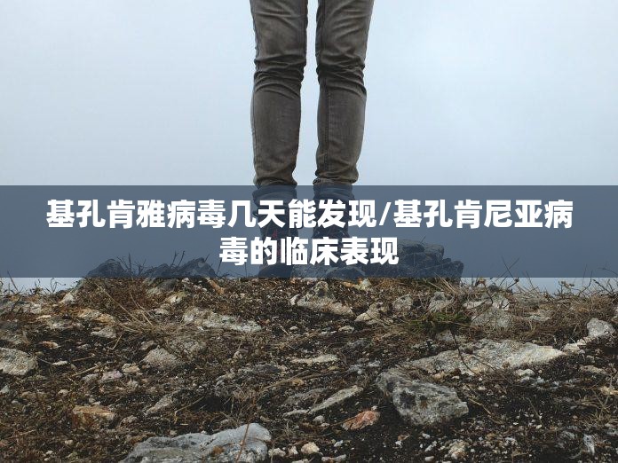 基孔肯雅病毒几天能发现/基孔肯尼亚病毒的临床表现