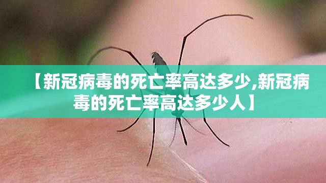 【新冠病毒的死亡率高达多少,新冠病毒的死亡率高达多少人】