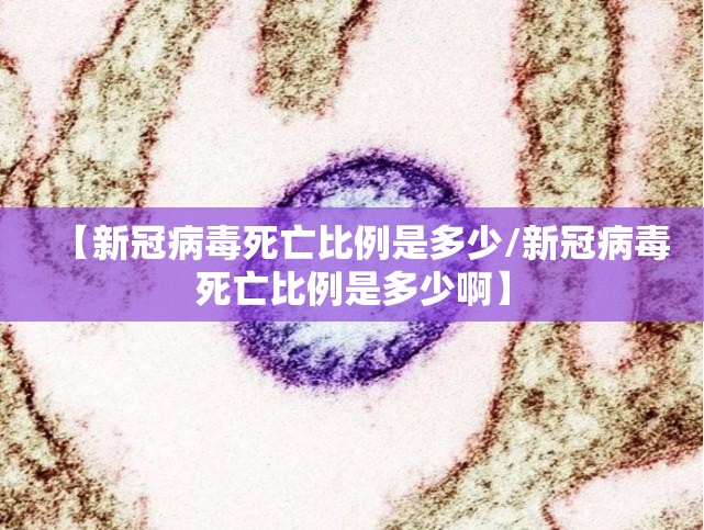 【新冠病毒死亡比例是多少/新冠病毒死亡比例是多少啊】