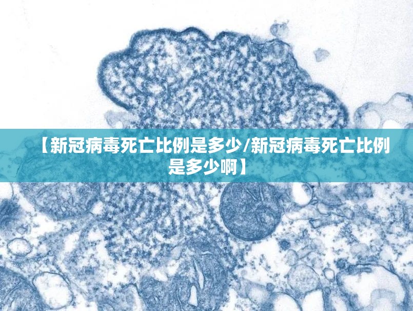 【新冠病毒死亡比例是多少/新冠病毒死亡比例是多少啊】