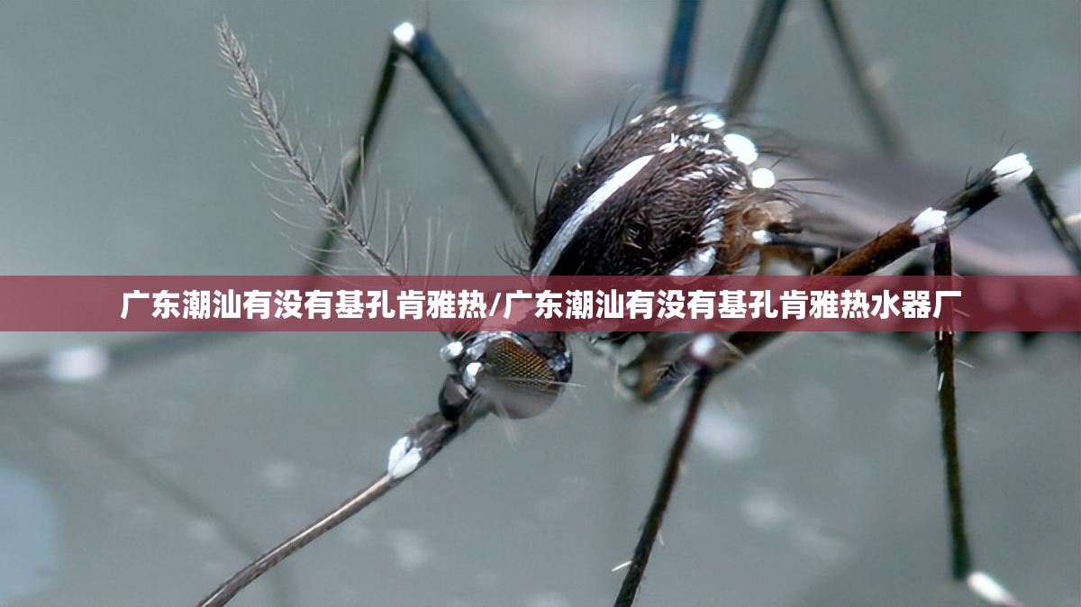 广东潮汕有没有基孔肯雅热/广东潮汕有没有基孔肯雅热水器厂