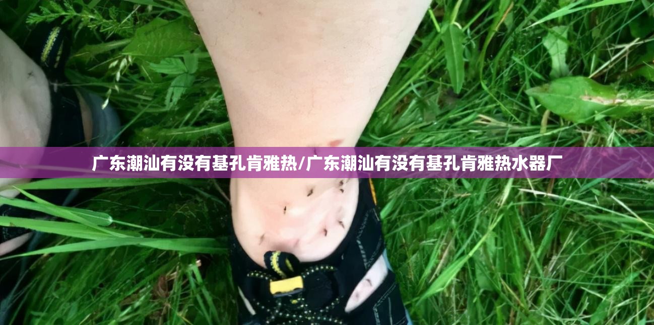 广东潮汕有没有基孔肯雅热/广东潮汕有没有基孔肯雅热水器厂