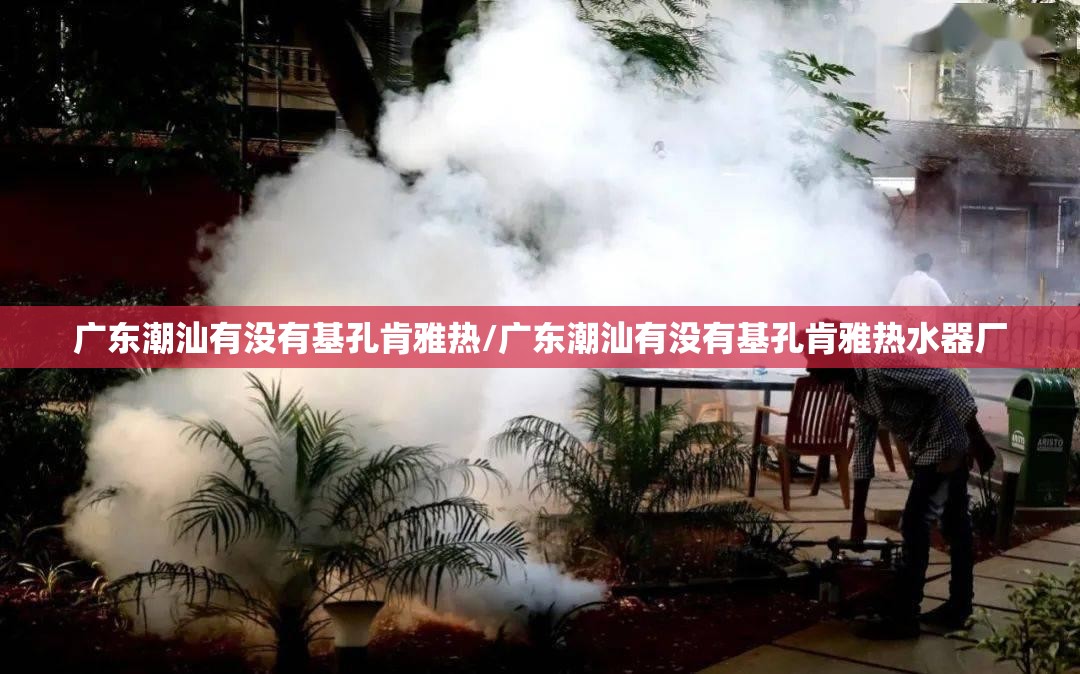 广东潮汕有没有基孔肯雅热/广东潮汕有没有基孔肯雅热水器厂