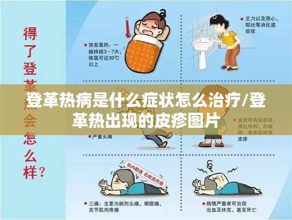 登革热病是什么症状怎么治疗/登革热出现的皮疹图片