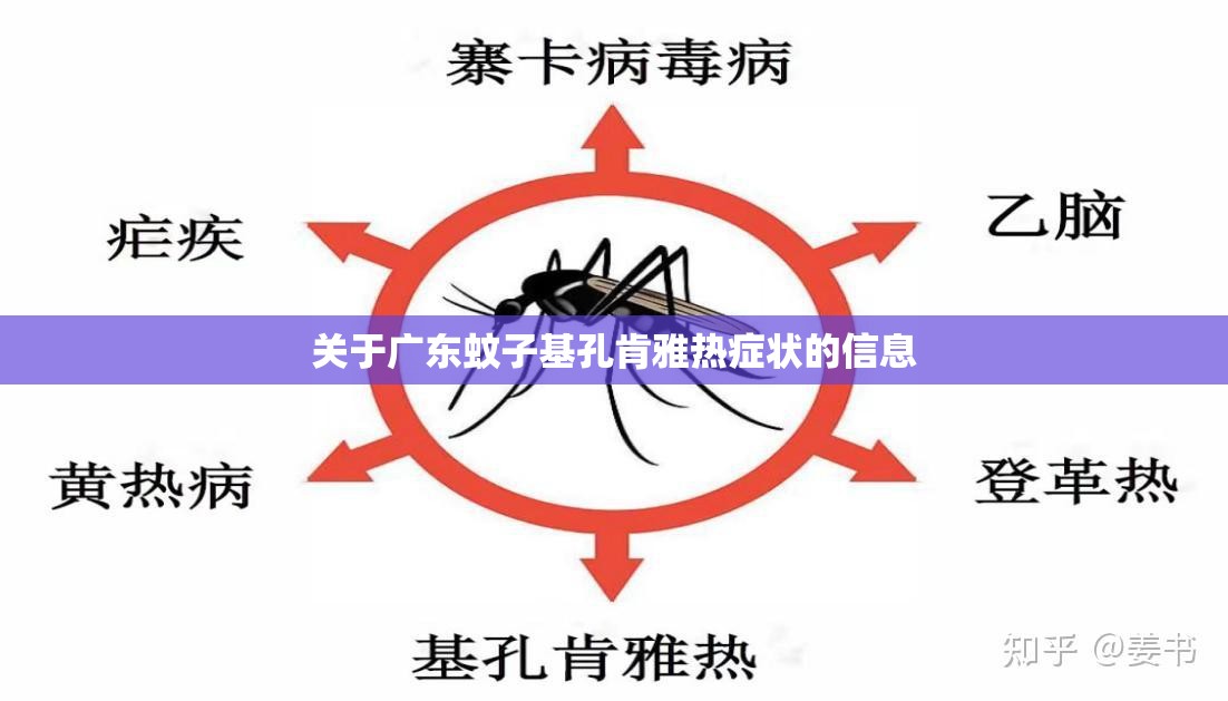 关于广东蚊子基孔肯雅热症状的信息