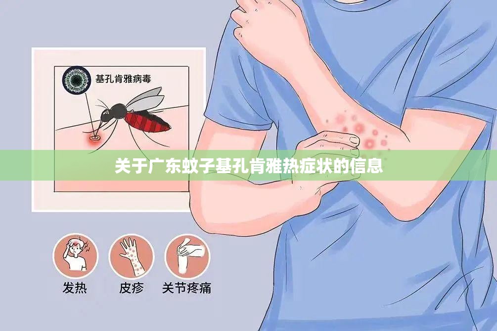 关于广东蚊子基孔肯雅热症状的信息