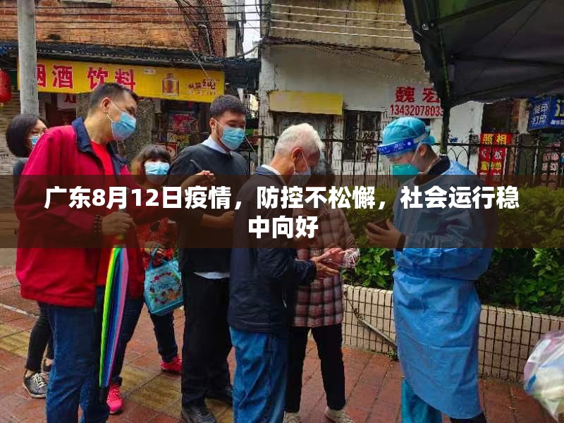 广东8月12日疫情，防控不松懈，社会运行稳中向好