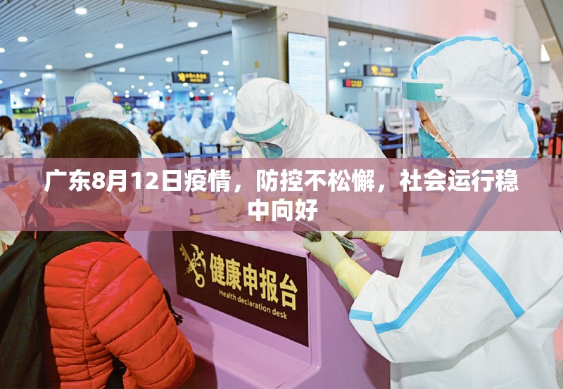 广东8月12日疫情，防控不松懈，社会运行稳中向好
