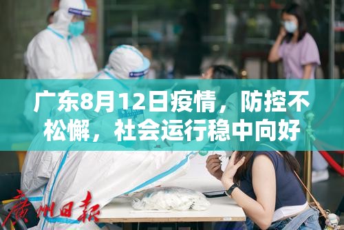 广东8月12日疫情，防控不松懈，社会运行稳中向好