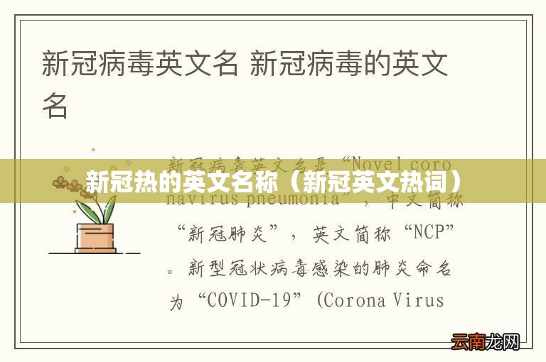 新冠热的英文名称（新冠英文热词）