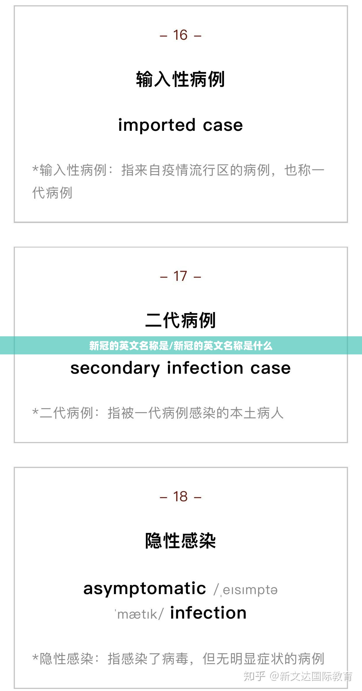 新冠的英文名称是/新冠的英文名称是什么