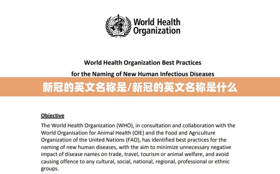 新冠的英文名称是/新冠的英文名称是什么